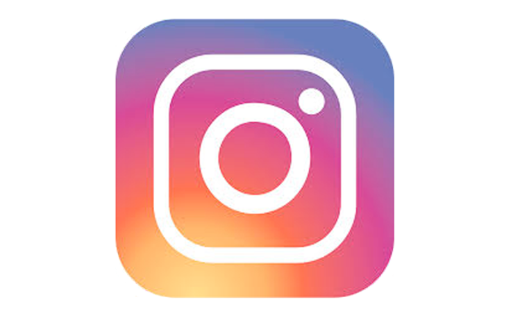 instagram-logo_736x460.png